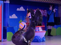 -成都浩海立方海洋公园