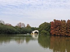 -上海海湾国家森林公园