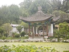 -莲湖公园