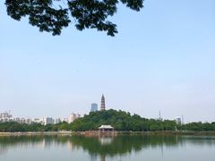 -顺峰山公园