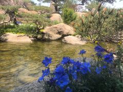 -罗红摄影艺术馆