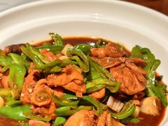 -鸽舞笙平金牌烧鸽子·融合菜(鲁谷店)