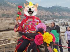 -陕西黄河壶口瀑布旅游区