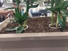 -二分八云雁阁•新晋菜大同味(长治路店)