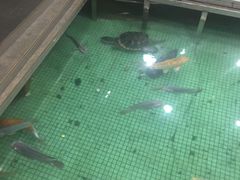 -金河半岛园林酒家(金融城店)