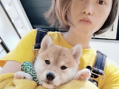 -逗柴咖啡屋·狗咖猫咖宠物桌游