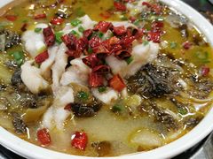 -牛真鲜禾一捞面(东鼓道店)