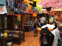 -吉祥圣雪藏餐