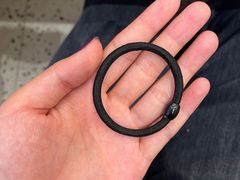 -密友回转自助火锅(世茂国际广场店)