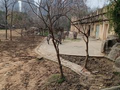 -南昌动物园
