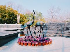 -花锦堂·隐庐