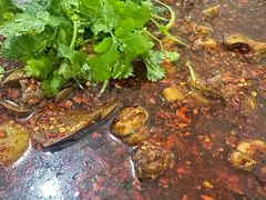 -温江公平红烧兔(总店)