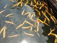 -本溪关山湖风景区