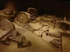 -洛阳周王城天子驾六博物馆