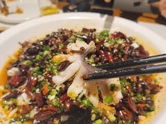 -三猫黑鱼花(南大店)