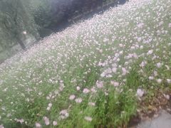 -南京信息职业技术学院