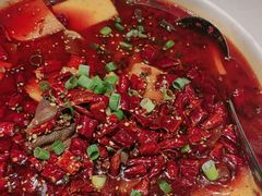 -海派美食·家宴海鲜青岛菜·石锅鲽鱼头(东方城店)