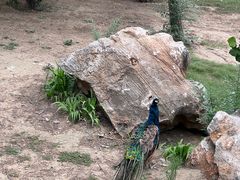 -太原动物园