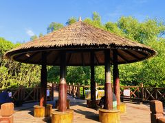 -大亚湾红树林城市湿地公园