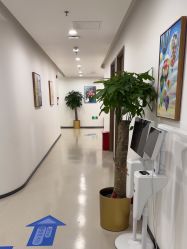 -丰联丽格医疗美容·联合丽格眼整形中心