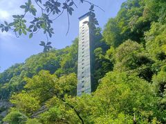 -碧峰峡风景区