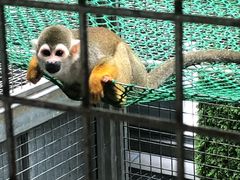 -武清南湖绿博园