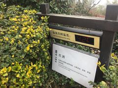 -天目湖涵田半山温泉