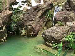 -南海湾森林生态园