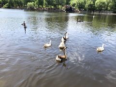 -石家庄市动物园