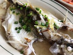 西江和顺鱼-八仔大富楼·河鲜(西江店)