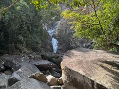 -海南霸王岭国家森林公园