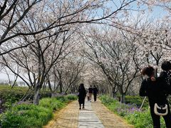 -凤凰沟景区