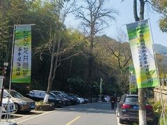 -龙井村