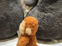 -深圳湾万象城(南山店)