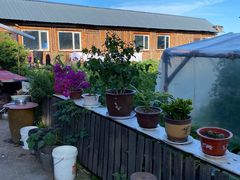 -北极村旅游风景区