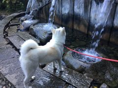 -蝴蝶泉公园