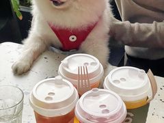 -gaga(深圳南山益田假日广场店)