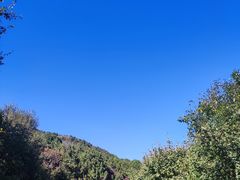 -北京西山国家森林公园