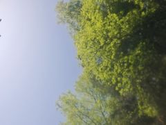 -明月山天沐温泉度假村