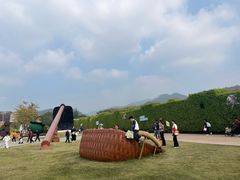 -东南花都花博园