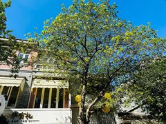 -广州西关永庆坊旅游区