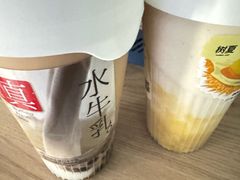 -树夏(鹭洲里店)