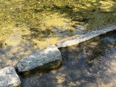 -九龙池景区