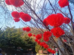 -石岛赤山风景区