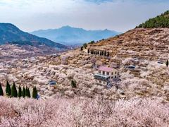 -崂山九水游览区