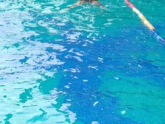 -威蒂斯国际健身游泳会所(东莞庄路店)