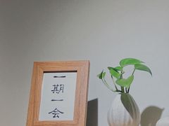 -团子君寿司·茶