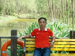 -合肥滨湖国家森林公园