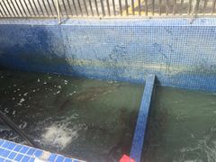 喜悦渔庄(顺德私房菜)-溪悦渔庄(九龙湖店)