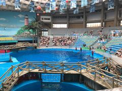 -海合安成都极地海洋公园